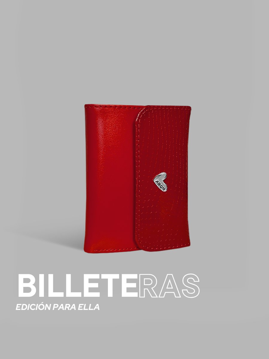 BILLETERAS PARA DAMA
