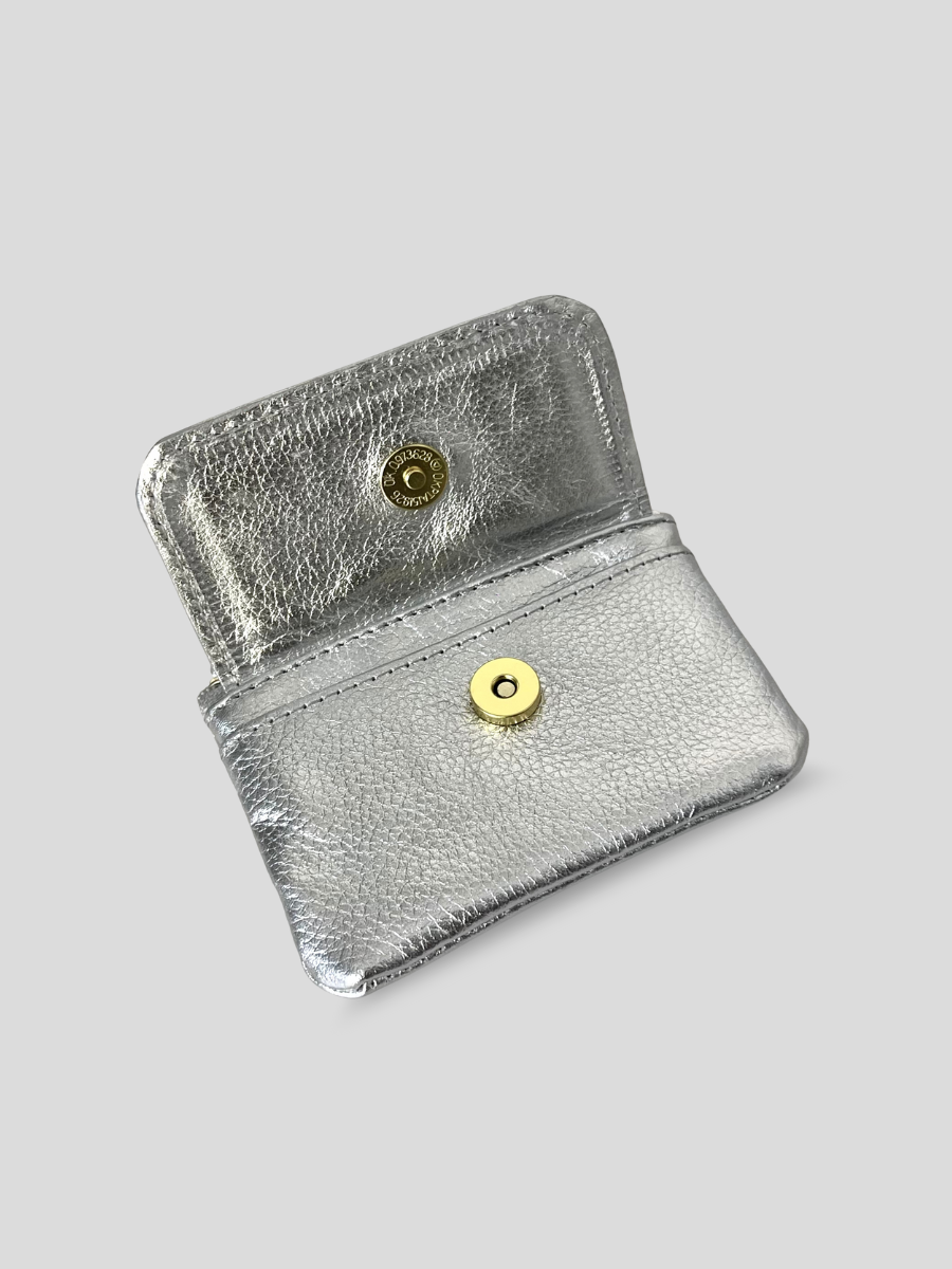 MONEDERO PLATA